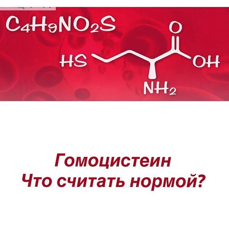 Гомоцистеин норма у мужчин. Гомоцистеин норма. Гомоцистеин норма у мужчин по возрасту. Гомоцистеин норма для женщин. Гомоцистеин норма у мужчин по возрасту таблица.