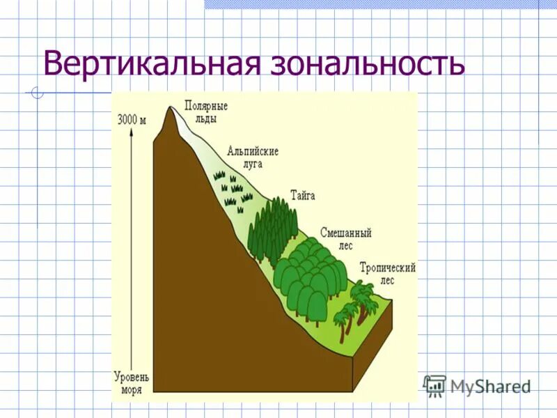 Примером зональности является. Зональные ландшафты земли. Учение о географической зональности. Высотная зональность кавказа. Зональность.