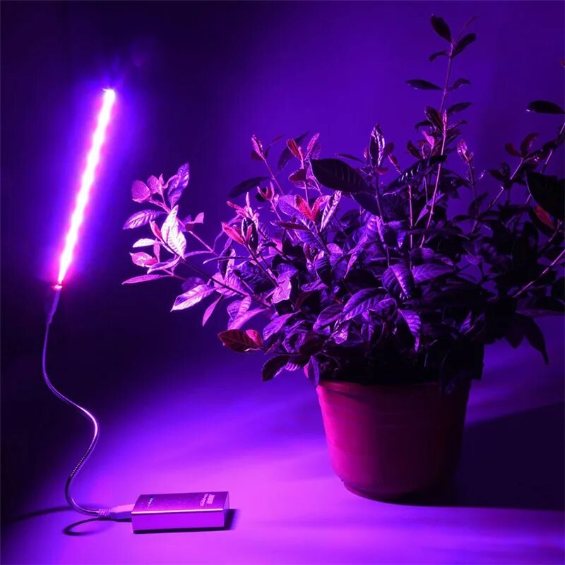 Фитолампа синяя. Фитолампа led grow light. светодиодная лампа для растений 14w. фитолампа grow light 310w. фитолампа полный спектр.
