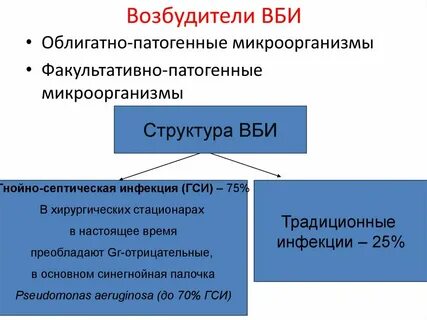 Основной возбудитель внутрибольничной инфекции