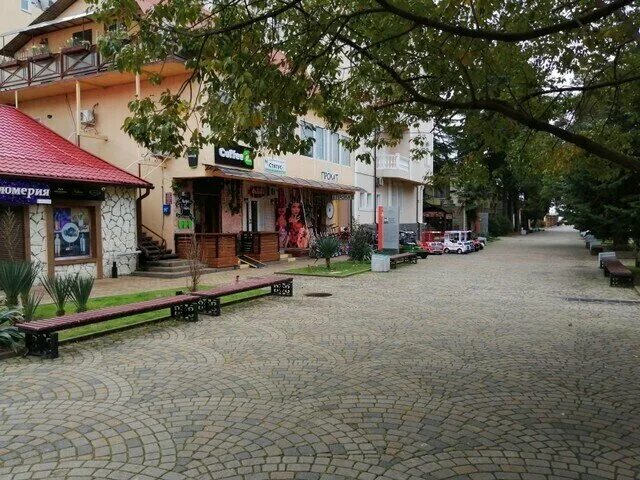 Сочи маркса. Сочи маркса. Ресторан синема владивосток шамора меню. Виноградная 206. Отель империя адлер.