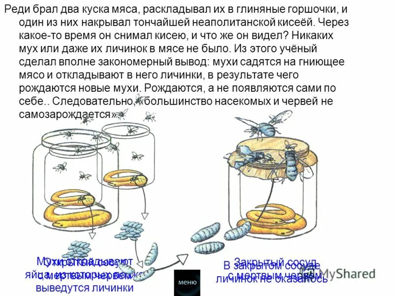 Реди 12. Опыт ф реди. Опыт ф реди с мясом. Франческо реди опыт с мясом. Опыт ф реди вывод.