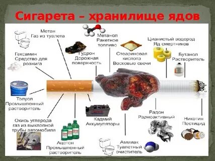 Состав табачных сигарет