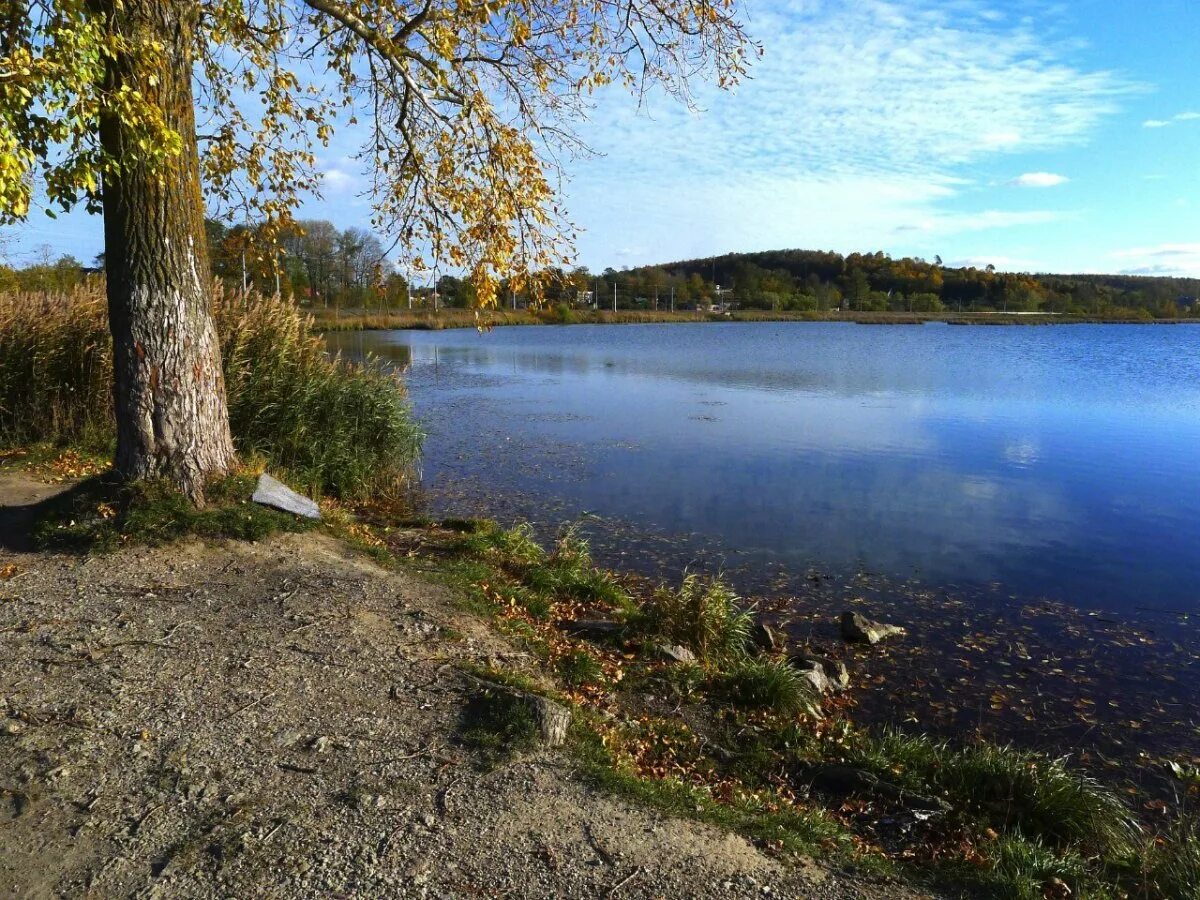 Озеро на берегу которого расположены. Дудергофское озеро СПБ. Дудергофское озеро в Красном селе. Дудергофское озеро пляж. Дудергофское озеро Виллози.