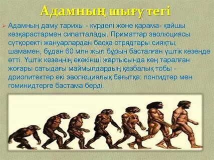 Студент қыз дәретханадағы жасырын камера