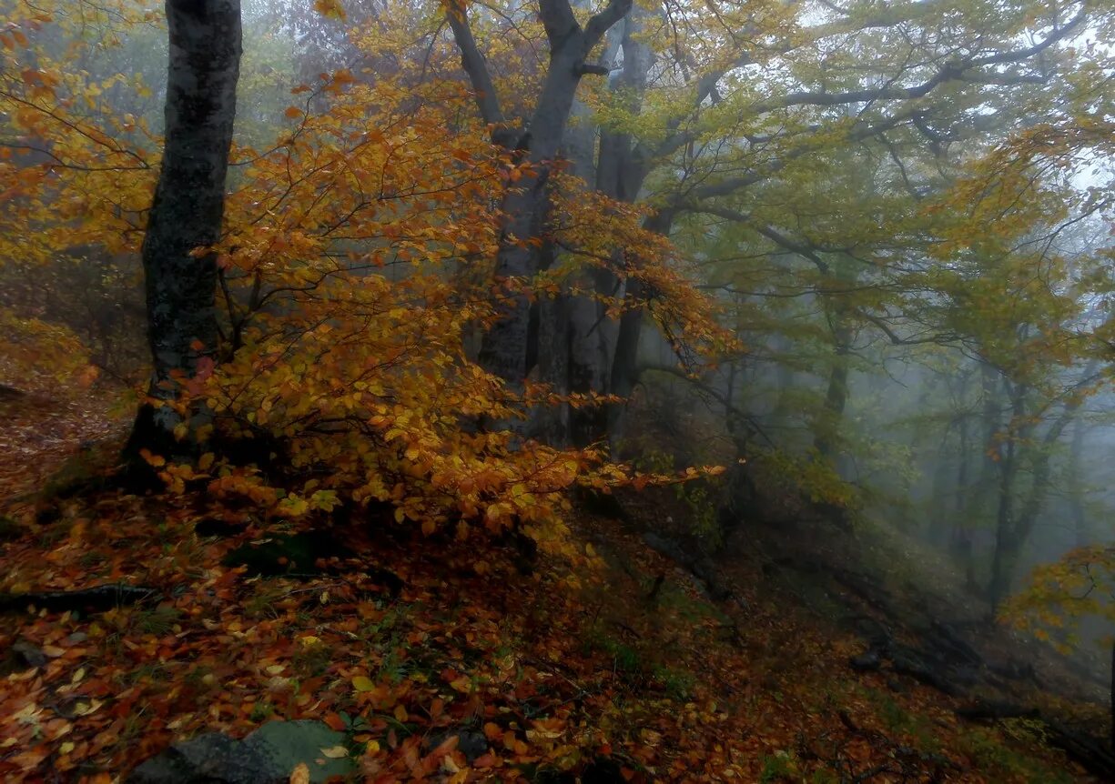 Железноводск октябрь. Железноводск осень. Железноводск осенью. Железноводск в октябре. Золотая осень Железноводск.