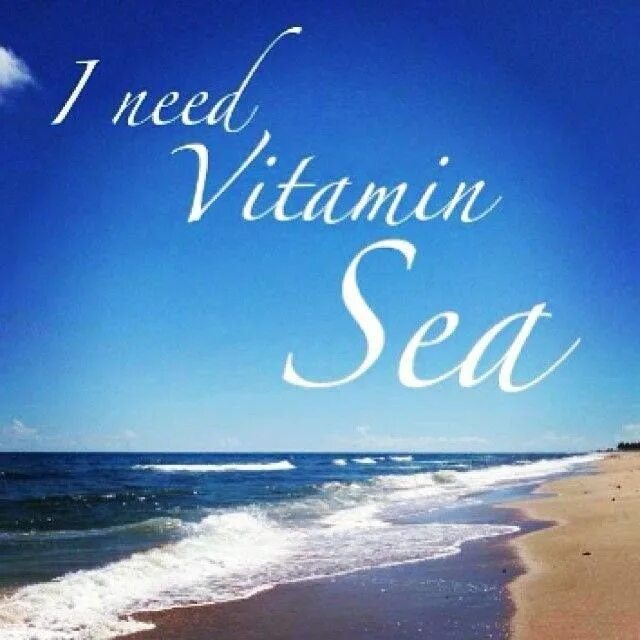 Call of the ocean книга. Choose to be happy. I want to the sea. К морю надпись. Морские цитаты.