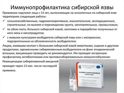 Вакцина против сибирской язвы