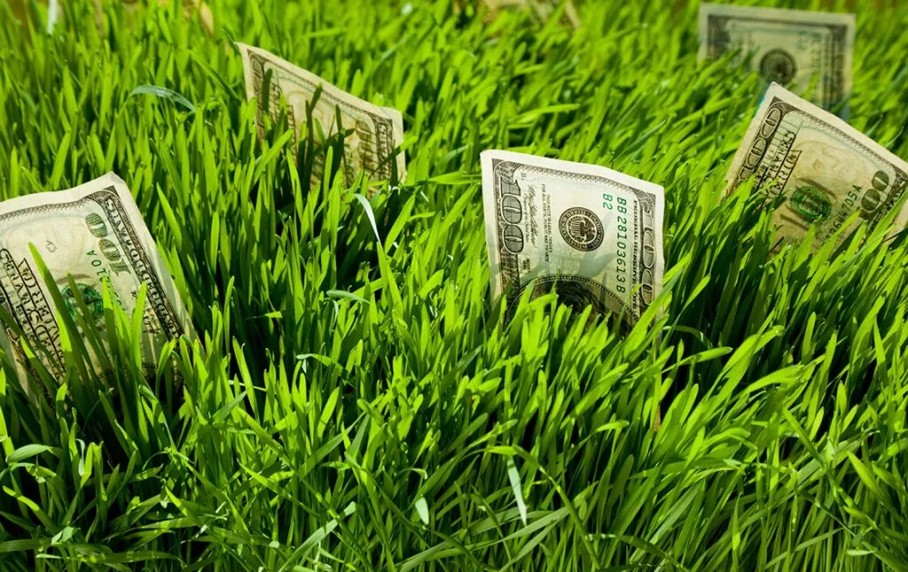 Финансовая экология. Зелень деньги. Зеленые деньги. Инвестирование в земельные участки. Денежный фон.