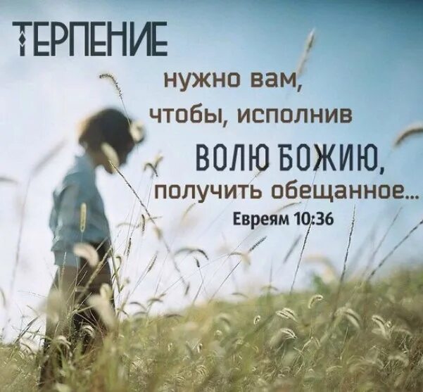 Терпение цитаты смешные. Терпение картинки. Девушка уходит. Терпение только терпение мем. Терпение цитаты.