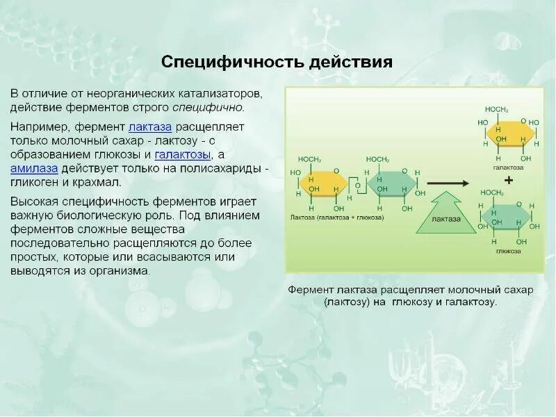 Каталитической активностью обладает. Принцип работы катализатора химия. Пример действия катализатора. Образцы катализаторов. Катализаторы в химии.