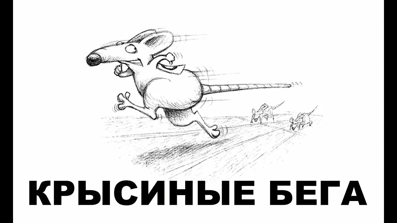 Крысиные бега. Крысиные бега картинки. Крысиные бега в жизни. Мышиные бега. Крысиные бега иллюстрации