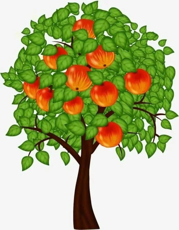 Фруктовый сад в детском саду. Яблоня для детей. Деревья и плоды. Яблоки на дереве. Дерево для детского сада.