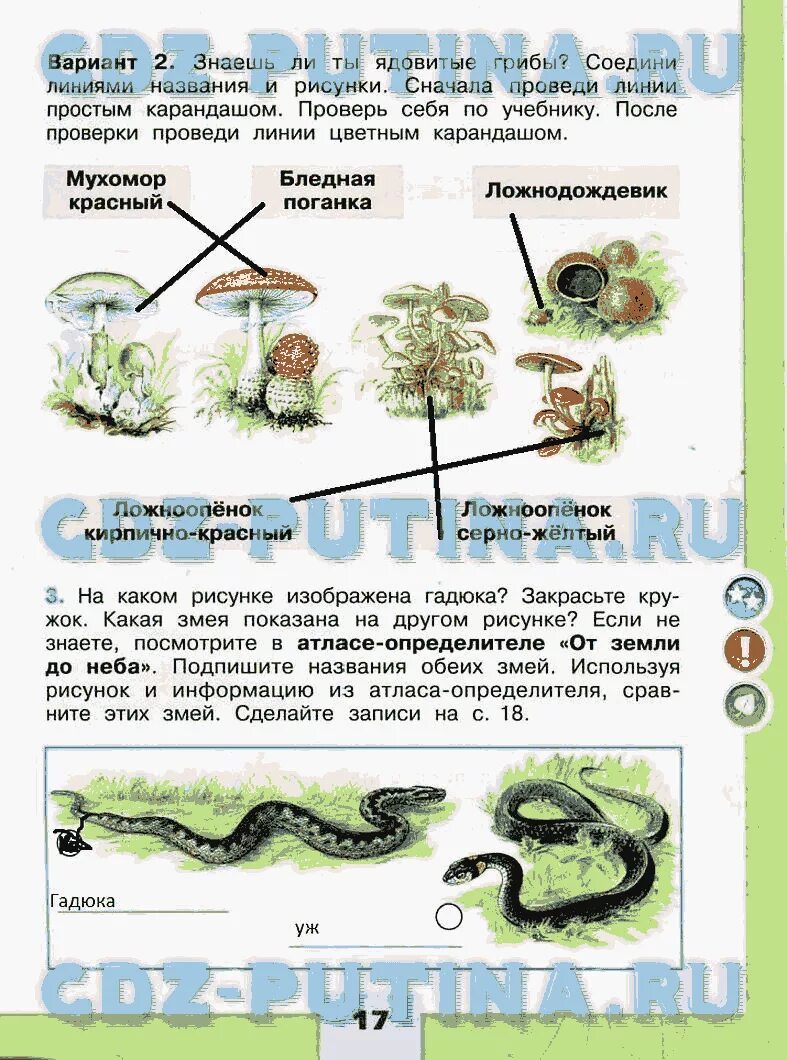 Окружающий мир рабочая тетрадь 3 класс цена. Окружающий мир 3 класс рабочая тетрадь 1 часть ответы Плешаков стр 8. Окружающий мир 3 класс рабочая тетрадь 1 часть Плешаков стр 60.