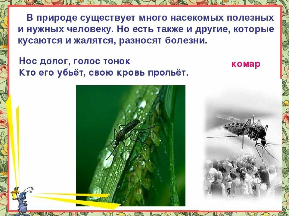Кто его убьет тот свою кровь прольет ответ. Голос тонок нос долог кто его убьет тот свою кровь прольет. Кроссворд насекомые. Кто его убьет тот свою кровь прольет ответ. Нос долог голос.