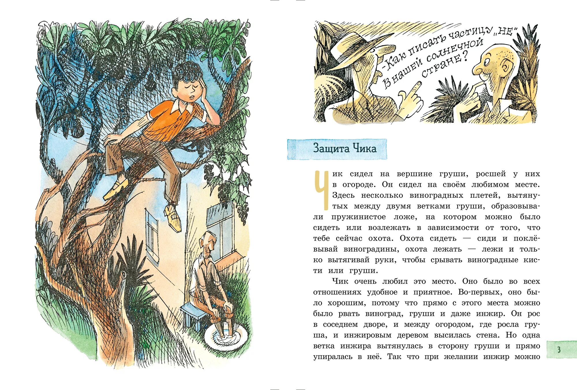 Рассказы о чике краткое содержание