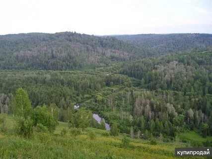 Малиновка кемеровская