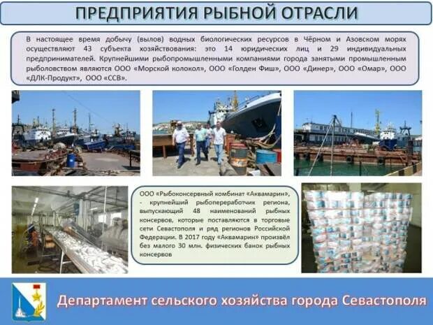 Рыбная промышленность является отраслью специализации. Отрасли экономики Севастополя. Промышленность Севастополя. Отрасли Севастополя отрасли экономики. Рыбная промышленность Севастополь.