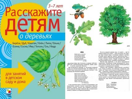 Расскажи дерево
