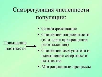 Какие факторы оказывают влияние на численность популяции