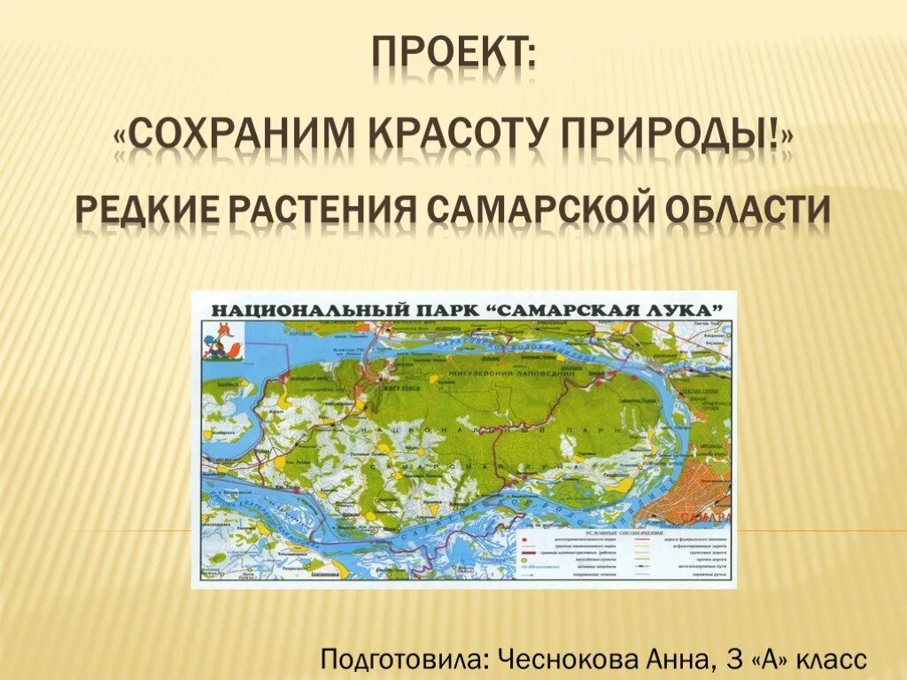 Экономика самарской области 3 класс окружающий мир. Редкие растения Самарской области. Растения Самарской области проект. Проект сохраним красоту природы. Растения Самарской области окружающий мир.