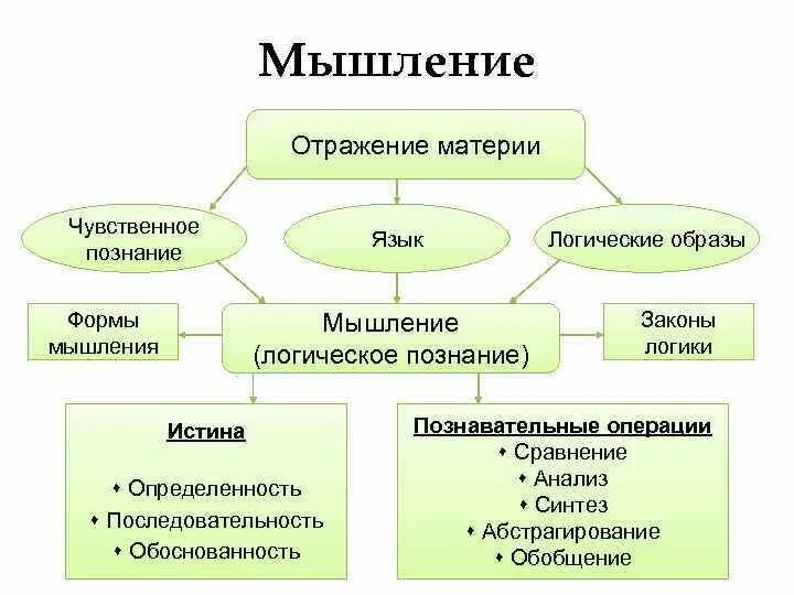 Чувственное логическое познание. Логическое познание и его формы. Чувственное и логическое познание. Основные формы отражения. Формы отражения материи.