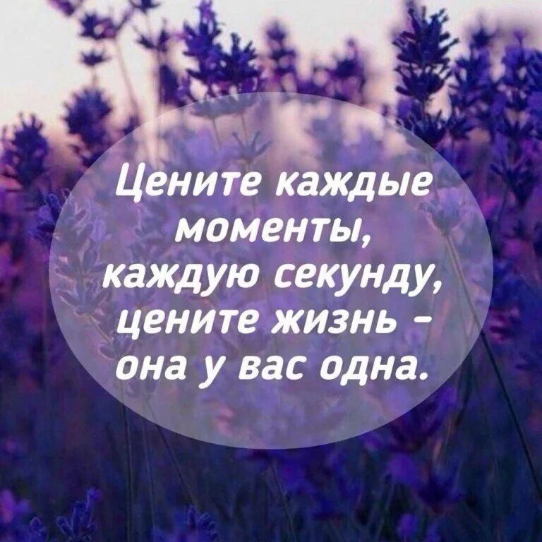 Цените жизнь. Красивые слова. Цитаты для лл. Счастливые моменты жизни цитаты. Цитаты о сожалении.