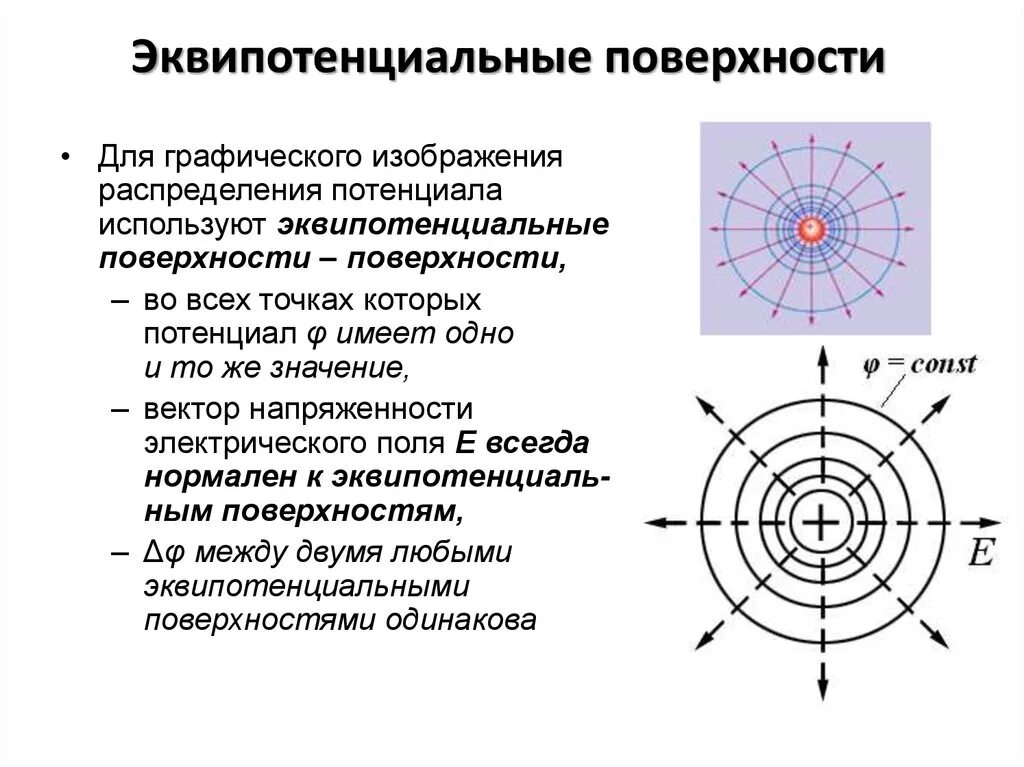 Эквипотенциальная поверхность потенциал электростатического поля. Эквипотенциальные линии электростатического поля. Потенциал точечного заряда эквипотенциальные поверхности. Эквипотенциальные поверхности и силовые линии электрического поля. Эквипотенциальные поверхности для точечного электрического заряда..