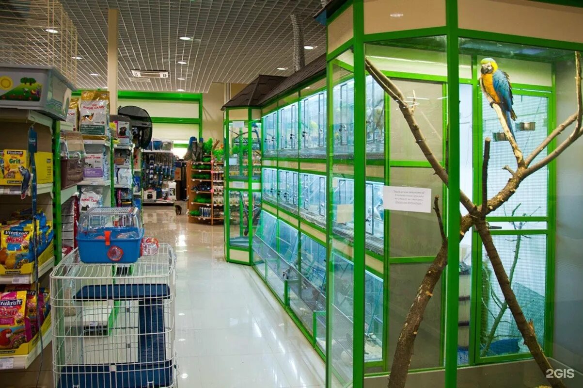 Зоомагазин животные. Зоомагазин животные. Самый большой магазин рыбок. Стеллажи для зоомагазина. В каком зоомагазине.
