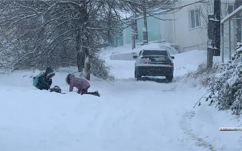 В январских снегах замерзают