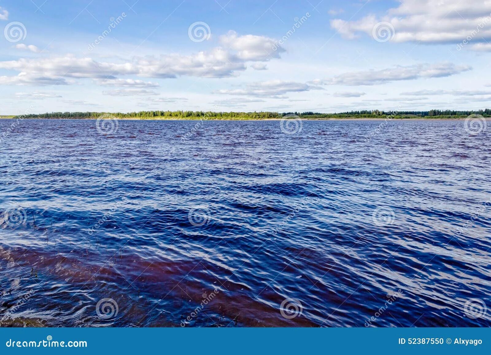 Архангельск какой океан. Северная Двина и белое море. Северная Двина Архангельск. Северная Двина река в белое море. Северная Двина впадает в белое море.