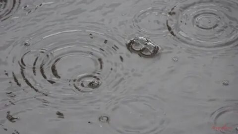 Почему на лужах пузыри во время дождя