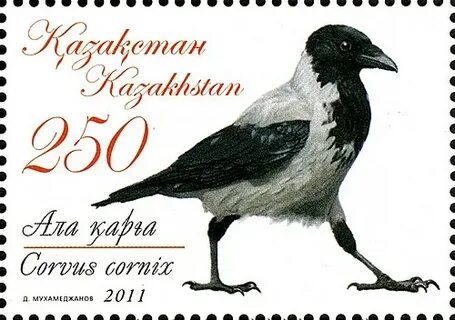 Орыс әйелдерінің үйдегі порно видеолары