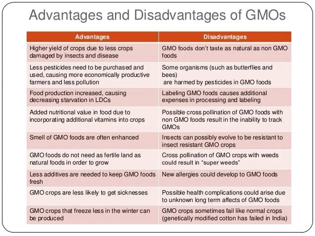 Advantages and disadvantages of being. Genetically modified food advantages and disadvantages. advantages and disadvantages of gmo. advantages and disadvantages gmo foods. genetically modified food danger or opportunity сочинение.