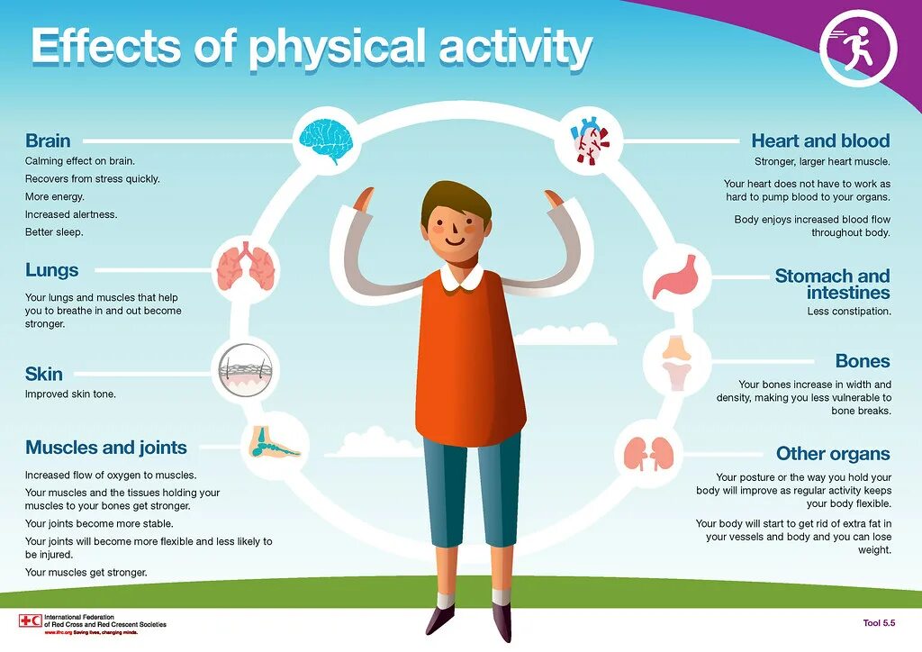 Physical activity. Physical inactivity. Physical Effects. Effects of physical inactivity. Activity definition