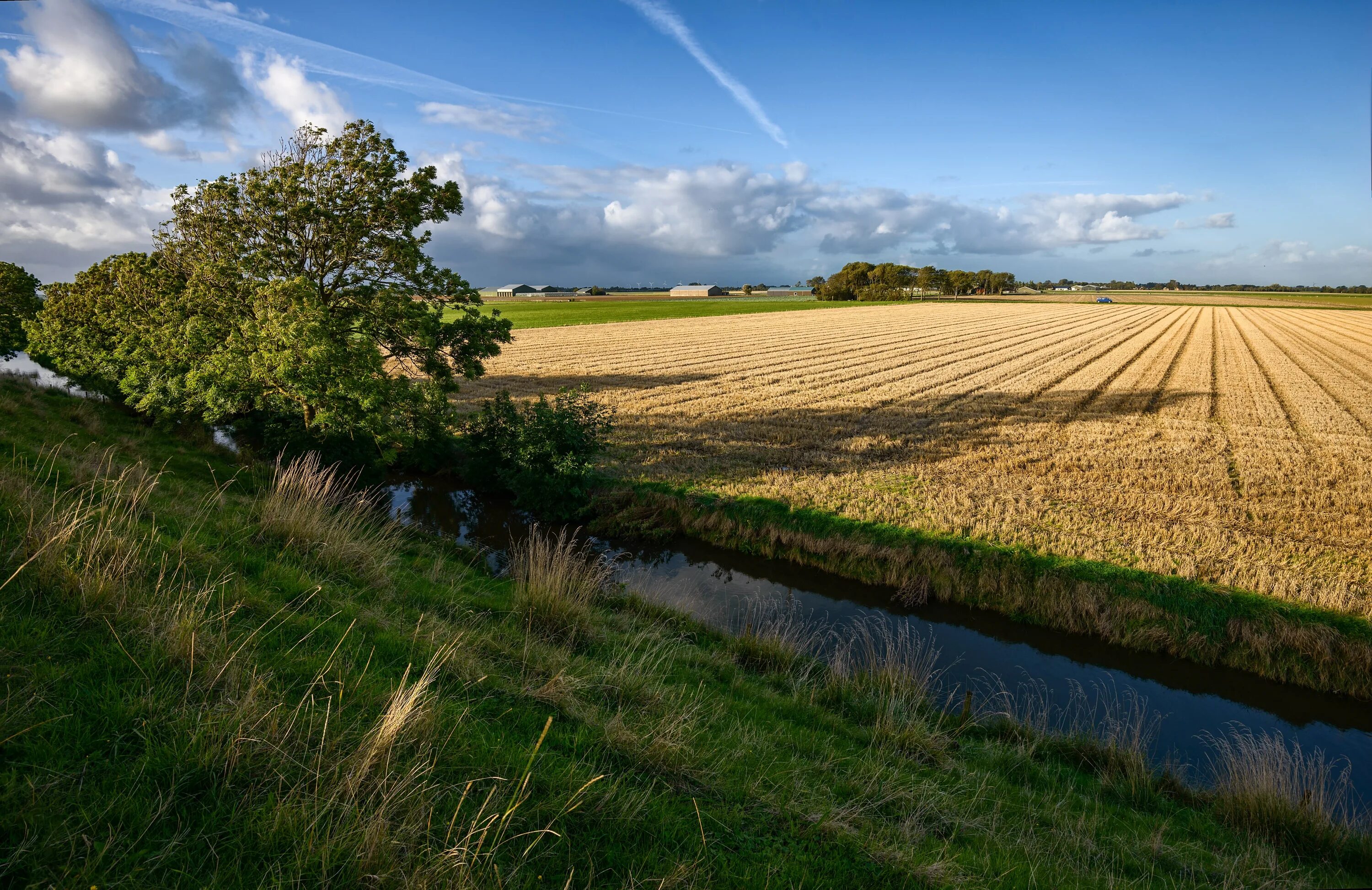 Deal fields