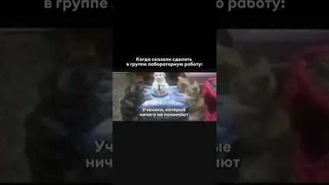 Мем про пасхалку