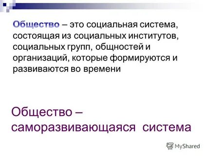 Термин общество ввел