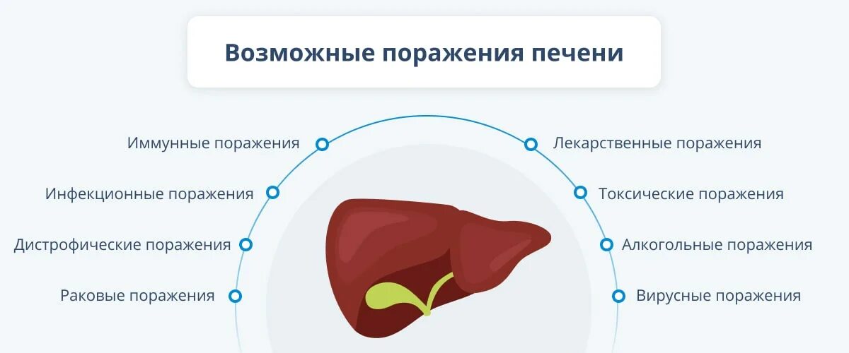 Боли в печени причины и симптомы лечение. Лекарственное поражение печени. медикаментозное поражение печени симптомы.