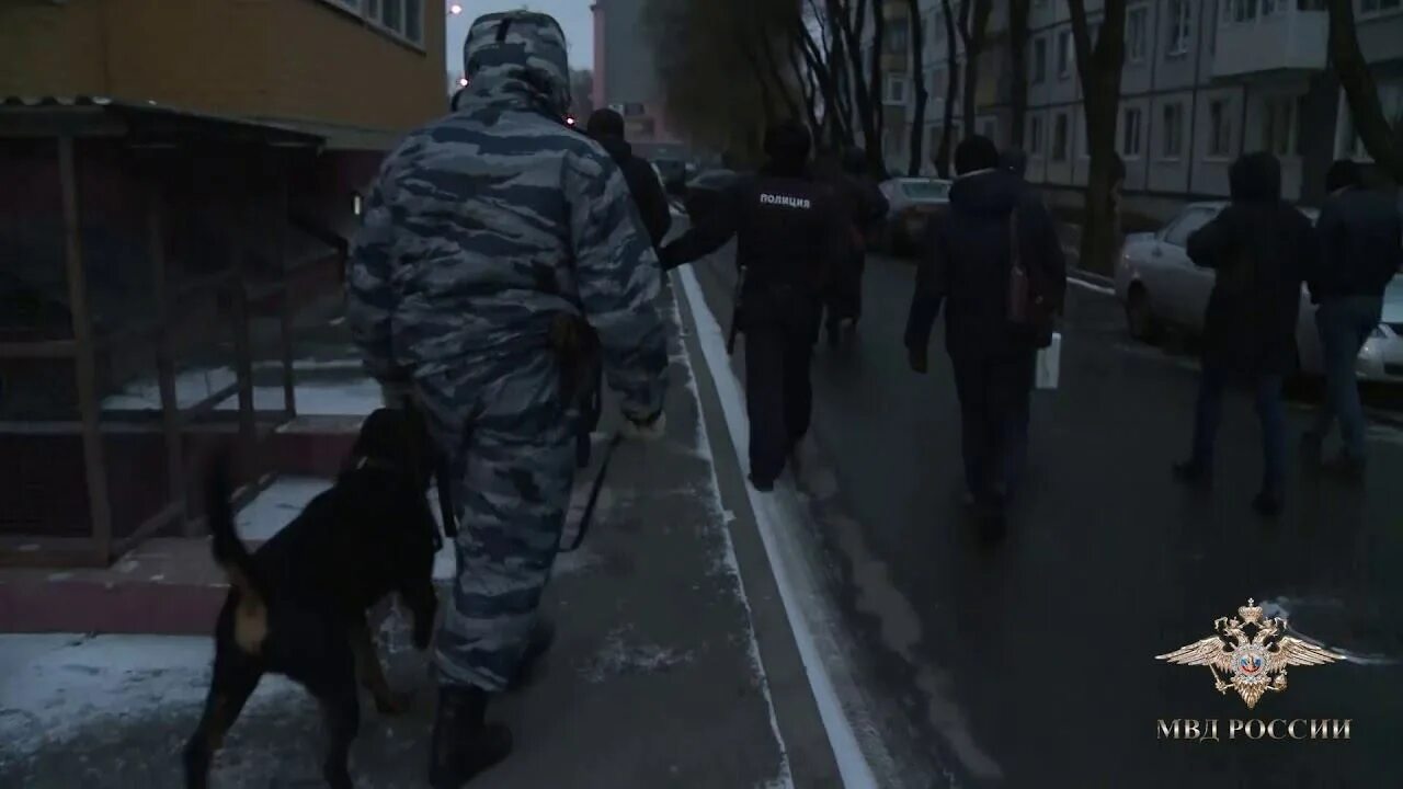 Задержание нападавших в брянской области. Нападение на отдел полиции в Вологде. Разбойное нападение на девушку. Задержанные в отделении полиции.