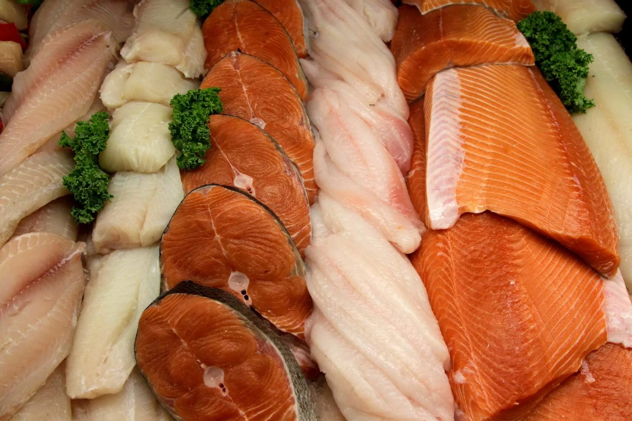 Сколько мяса в рыбе. Мясо рыба. Рыба. Рыбные продукты. Мясная и Рыбная продукция.