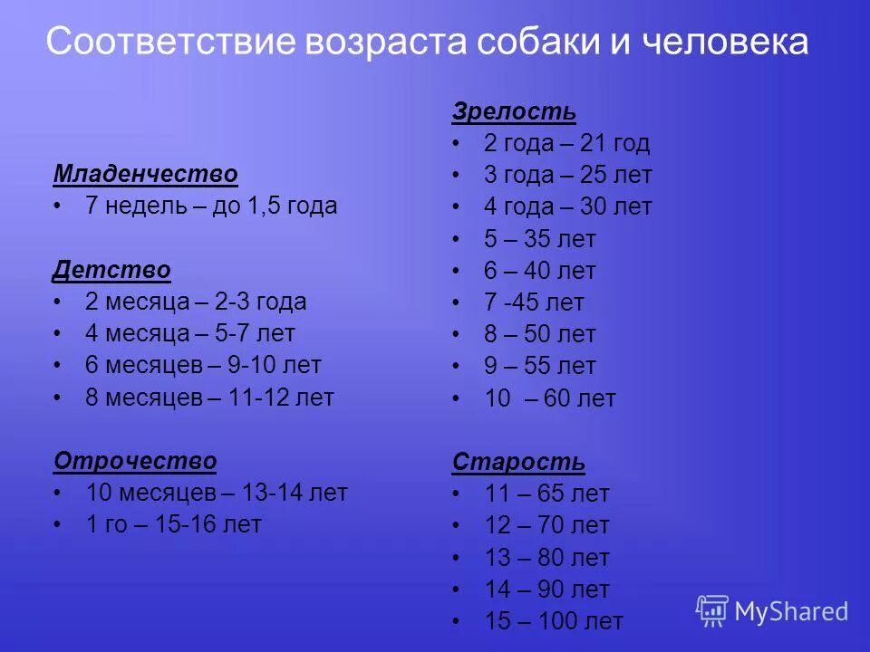 1 к возрасту. Возраст собаки и человека соотношение таблица. Соответствие возраста собаки и человека. Соответствие возраста собаки возрасту человека. Возраст собаки и Возраст человека.