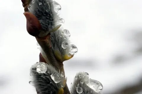 Март ассоциации