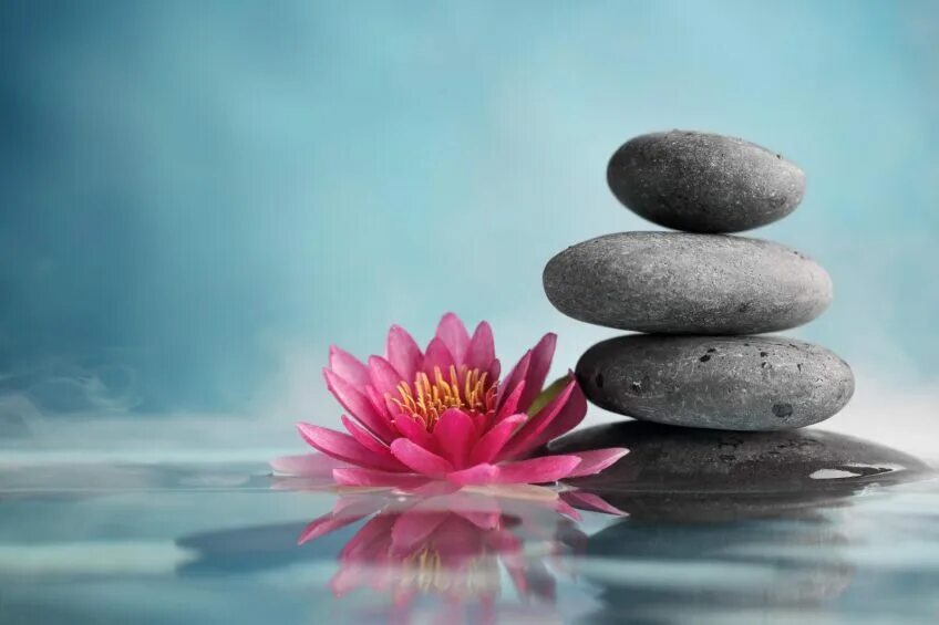 Релакс цвет. Лотос медитация. Медитация камни. Цветок для медитации. Лотос и камни.