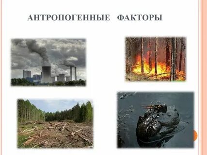 Антропогенные факторы среды обитания