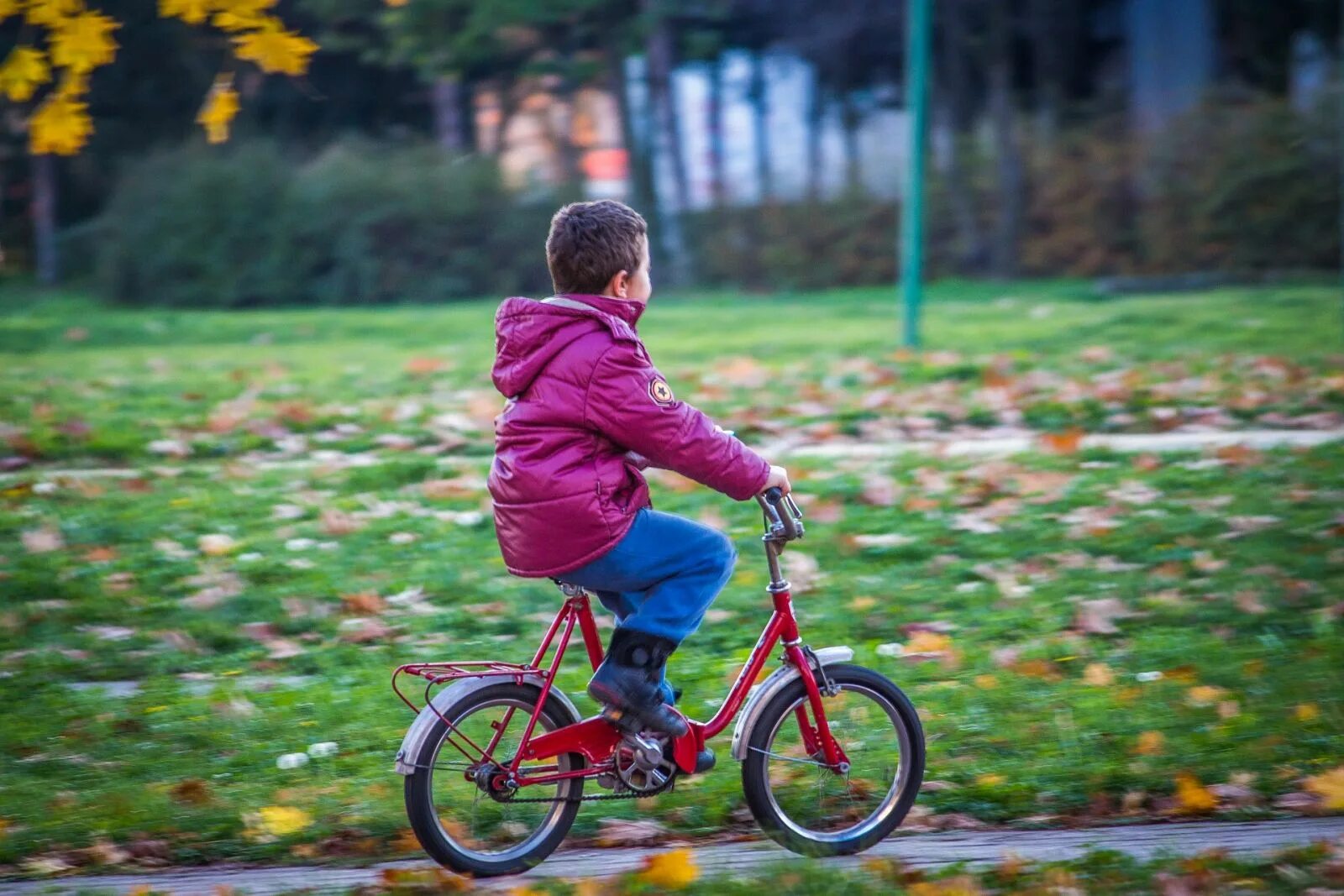 Мальчик сидит на велосипеде. Дети с велосипедом. Мальчик катается на велосипеде. Детский велосипед с ребенком. Дети катаются на велосипе.