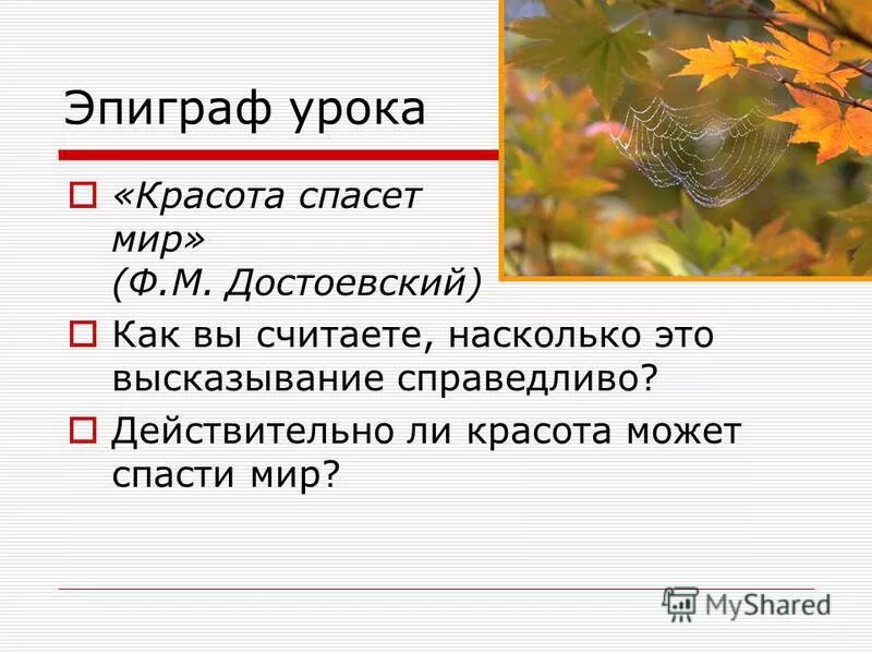 Как вы считаете насколько. Эпиграф к уроку русского языка. Эпиграф урока растения. Мир спасет красота считая Достоевским как вы это понимаете.