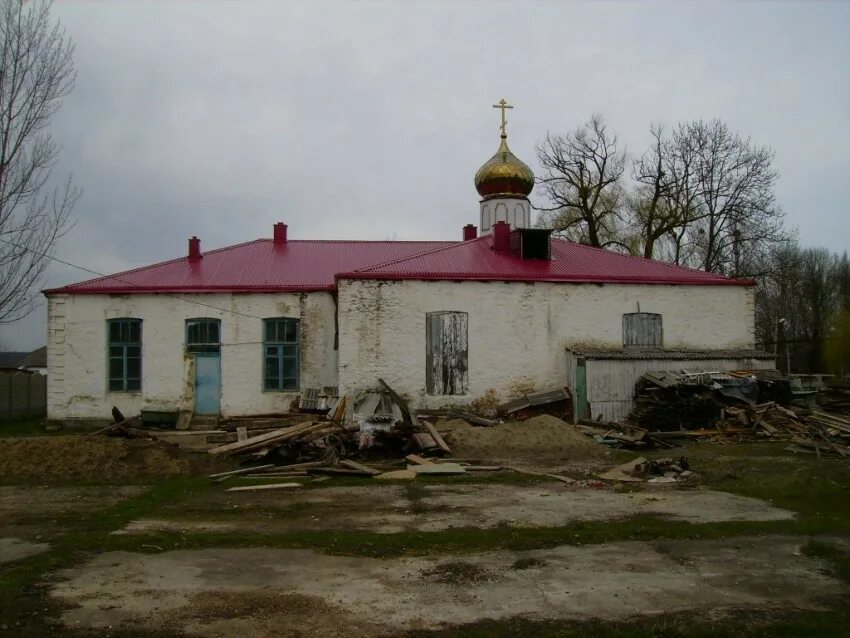 Станица Тверская. Ст Тверская Краснодарский край. Станица Тверская Церковь. Жители станицы Тверской.