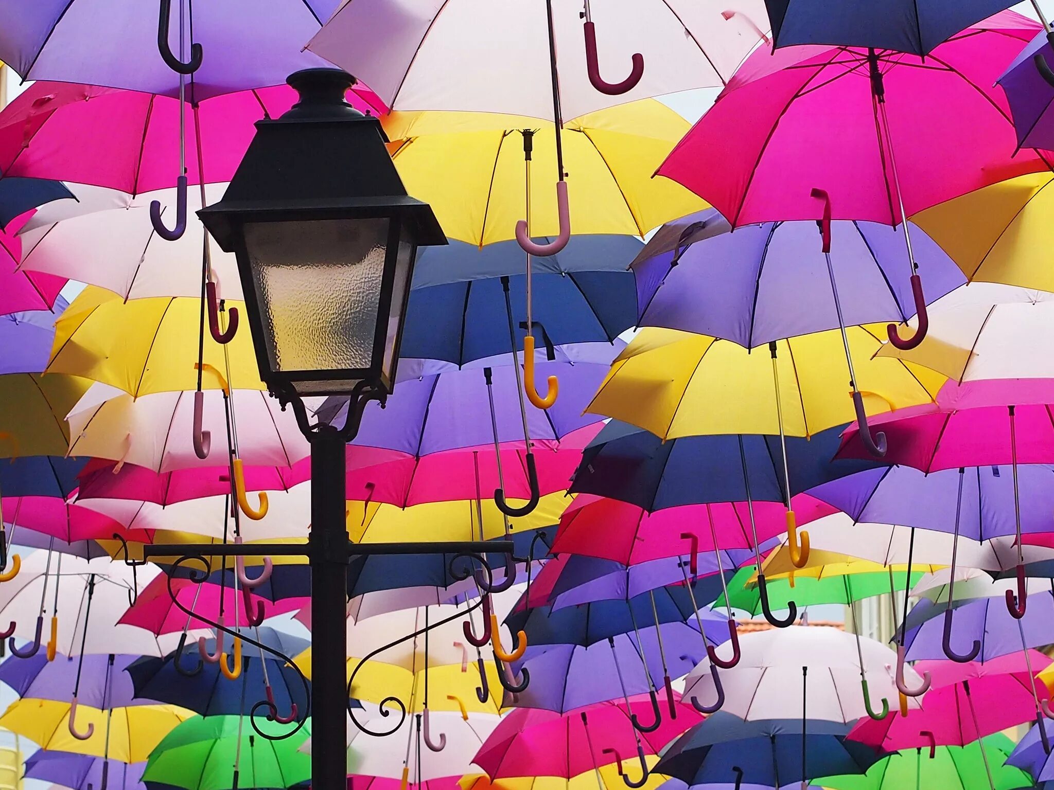 Улица парящих зонтиков, Агеда, Португалия. Разноцветные зонтики. Разноцветный зонт. Зонтики яркие. Яркий зонтик