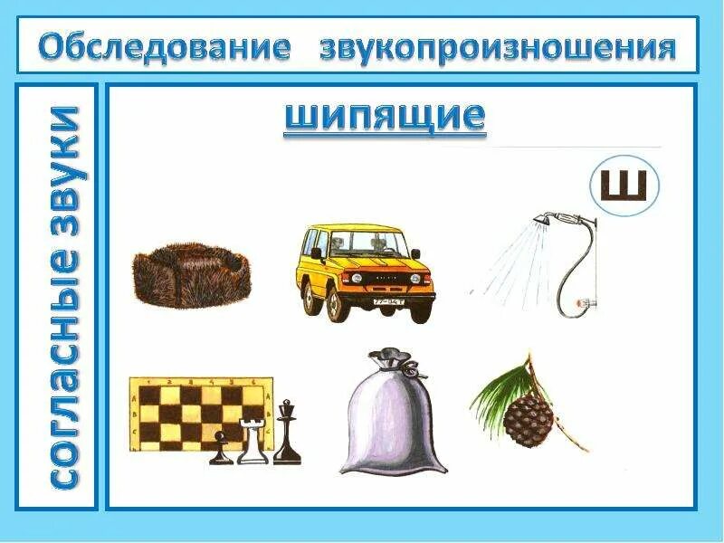 Обследование звука. Дидактический материал для обследования звукопроизношения. диагностика обследования звукопроизношения у дошкольников 4-5. материал для обследования звукопроизношения у дошкольников. обследование звукопроизношения сь.